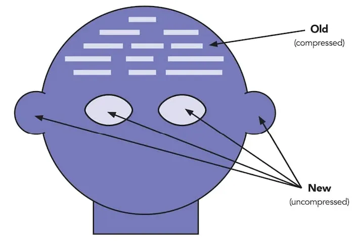 Diagram of a head with arrows labeled Old (compressed) pointing to a dense block of text, and New (uncompressed) pointing to the eyes and ears.